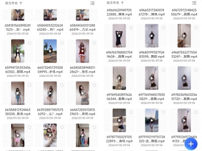 耗时2年精心收集，抖音顶级小姐姐精品切片，共32000部！